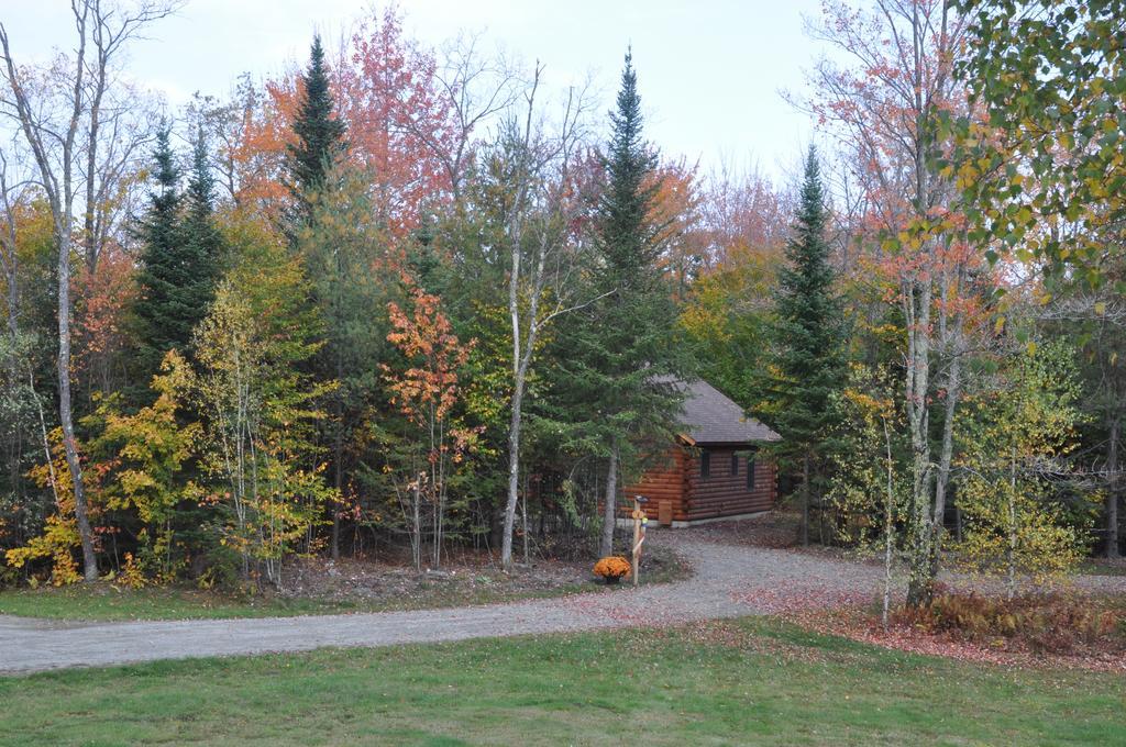 Muddy Moose Hotel Morrisville Екстериор снимка